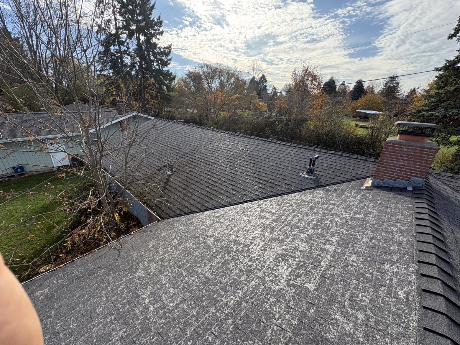 Asphalt shingle roof with algae treatment applied around the chimney