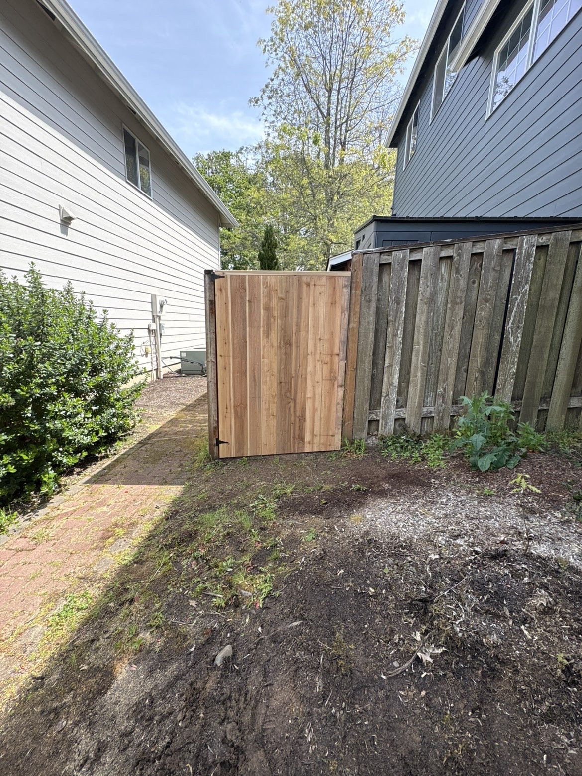 New cedar gate with fresh pickets attached to an existing older fence