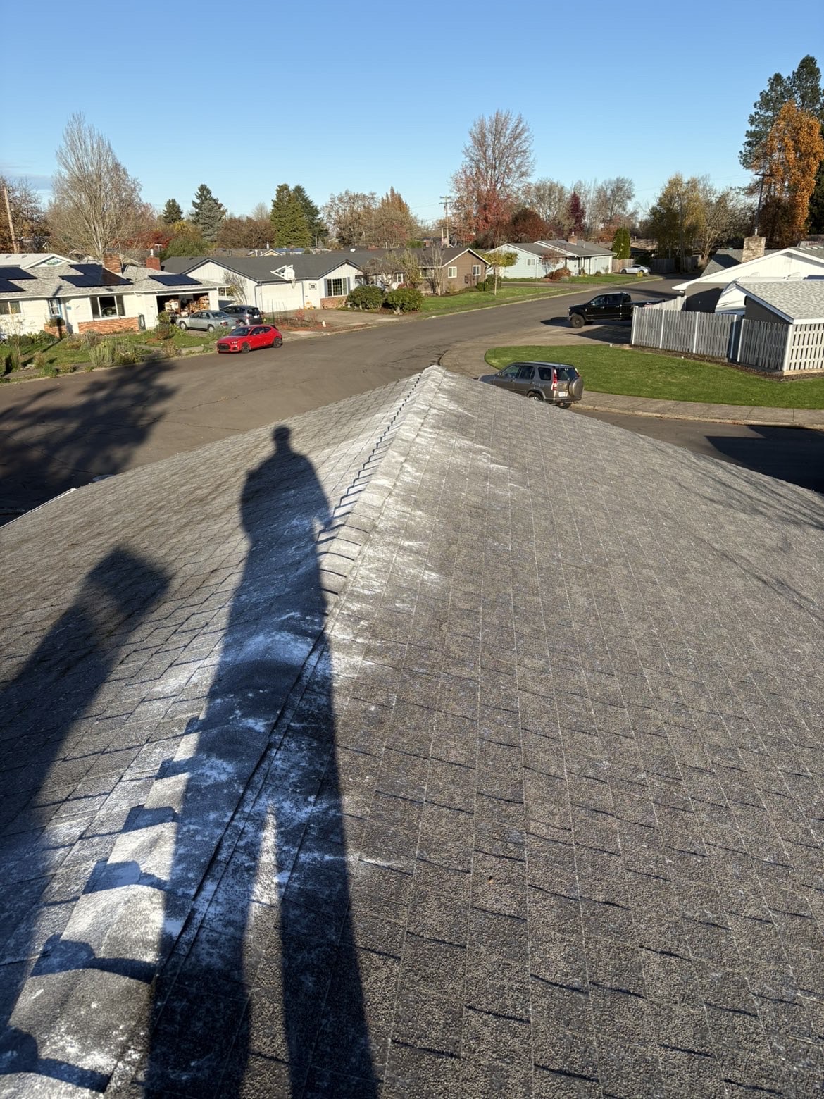 Shingle roof treated for moss and algae with clean results visible across the ridge