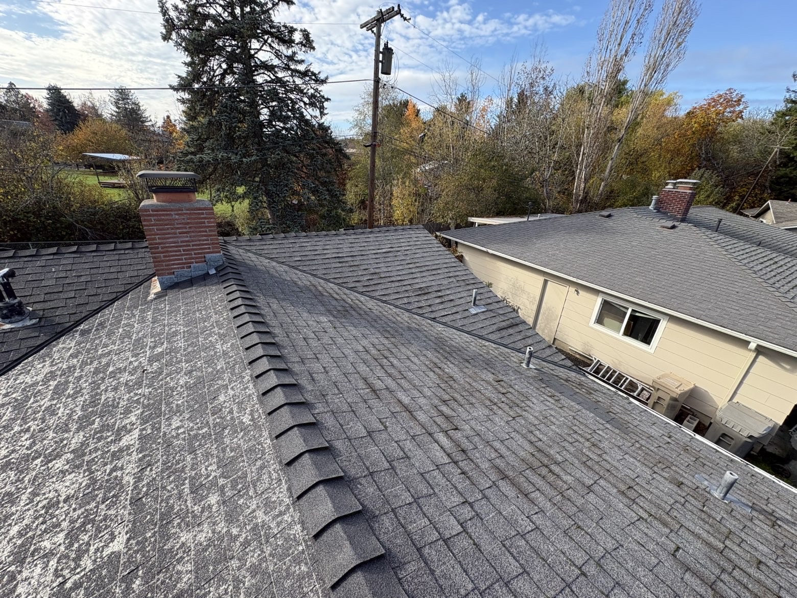 Shingle roof after cleaning and algae treatment with clear gutter lines