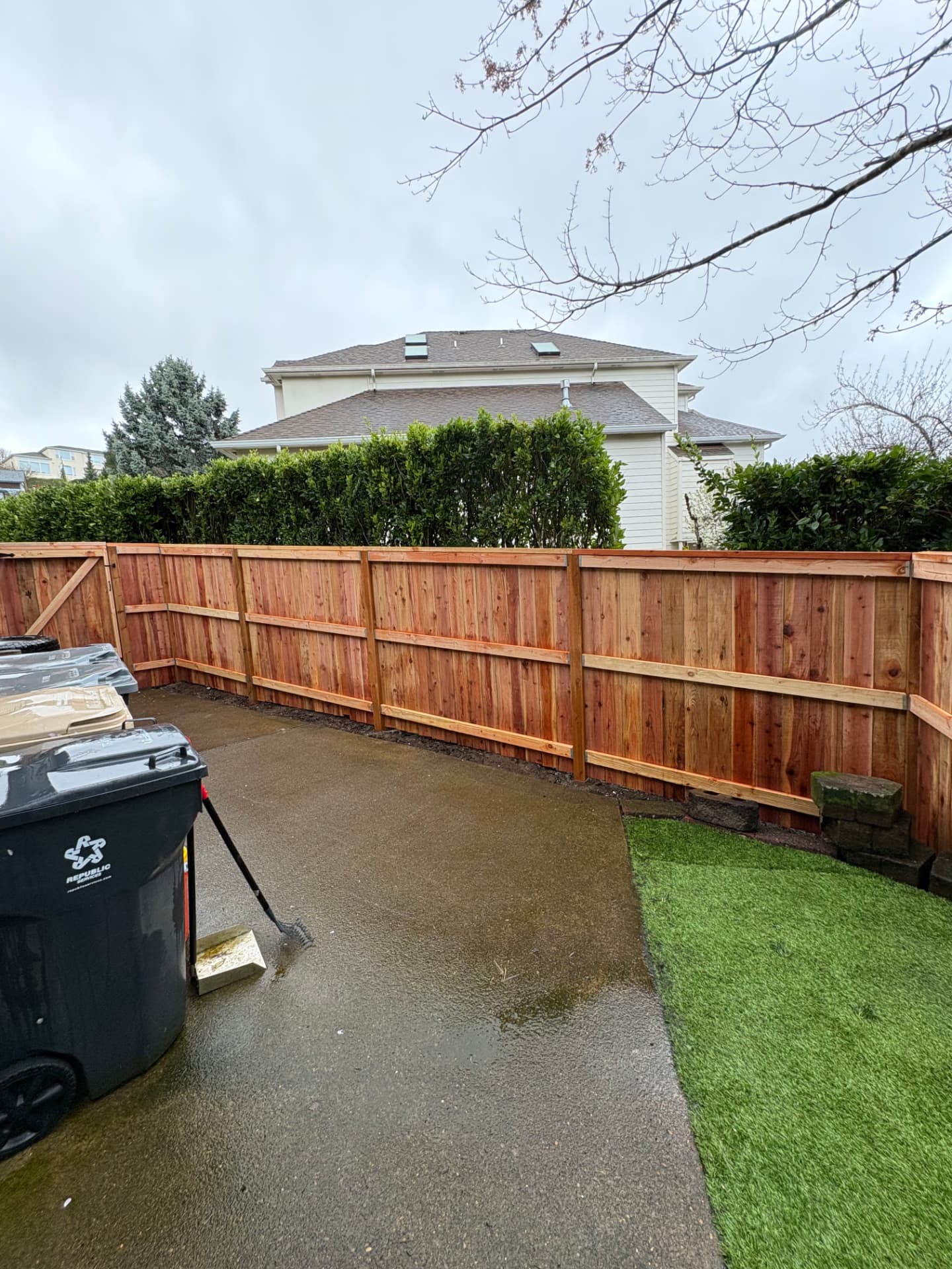 Newly built western red cedar privacy fence in a Corvallis, Oregon backyard