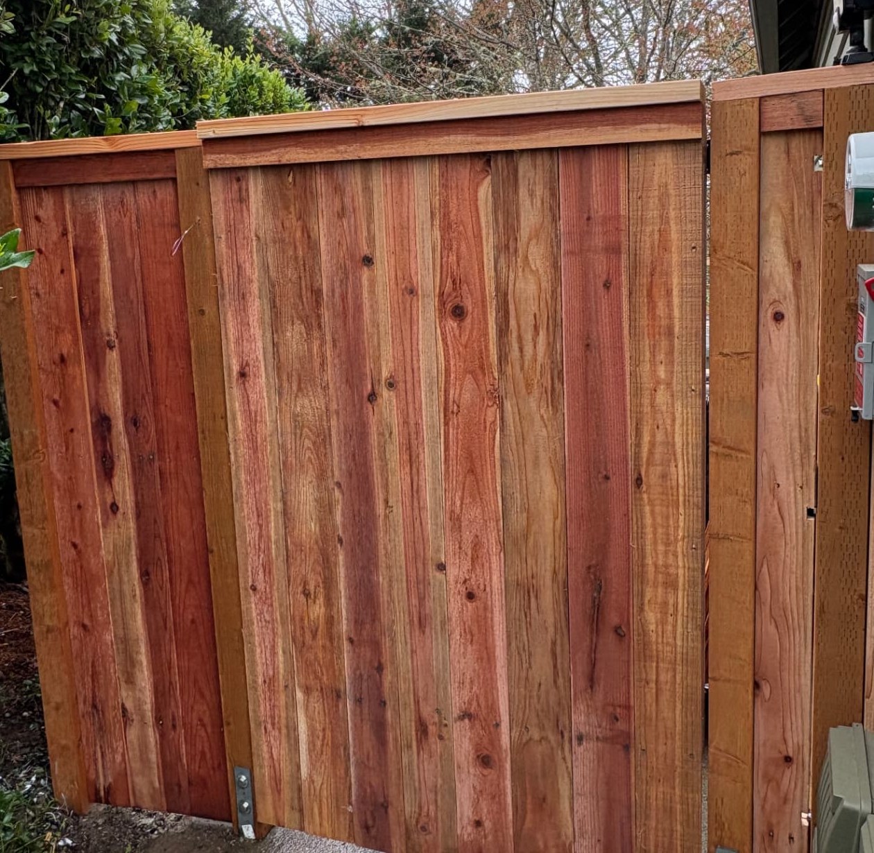 New cedar gate and fence section with top cap beside a house
